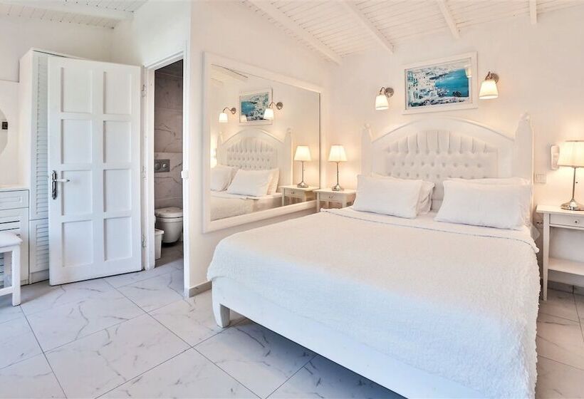 스탠다드 룸, Club çapa