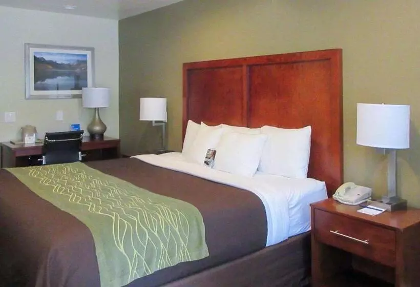 اتاق استاندارد با تخت بزرگ, Comfort Inn Bishop