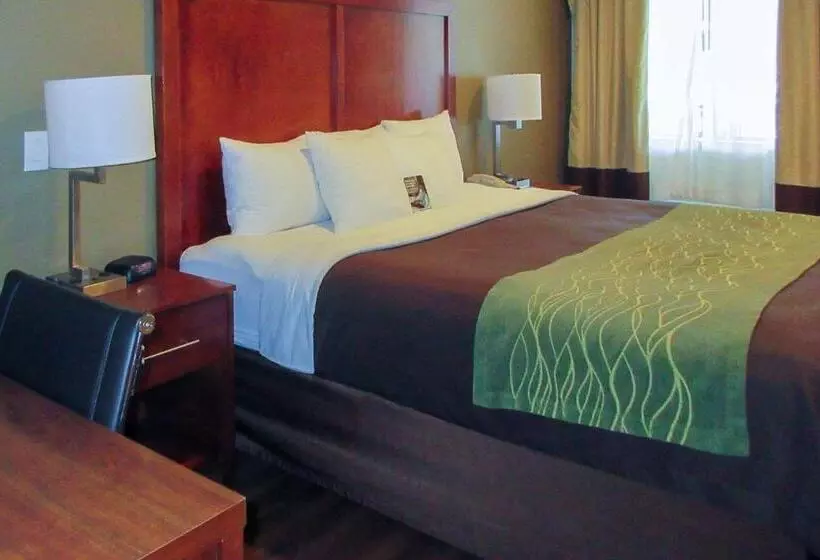 اتاق استاندارد با تخت بزرگ, Comfort Inn Bishop