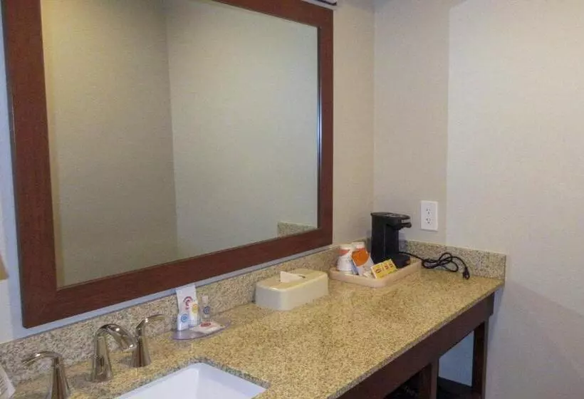 اتاق استاندارد با تخت بزرگ, Comfort Inn Bishop