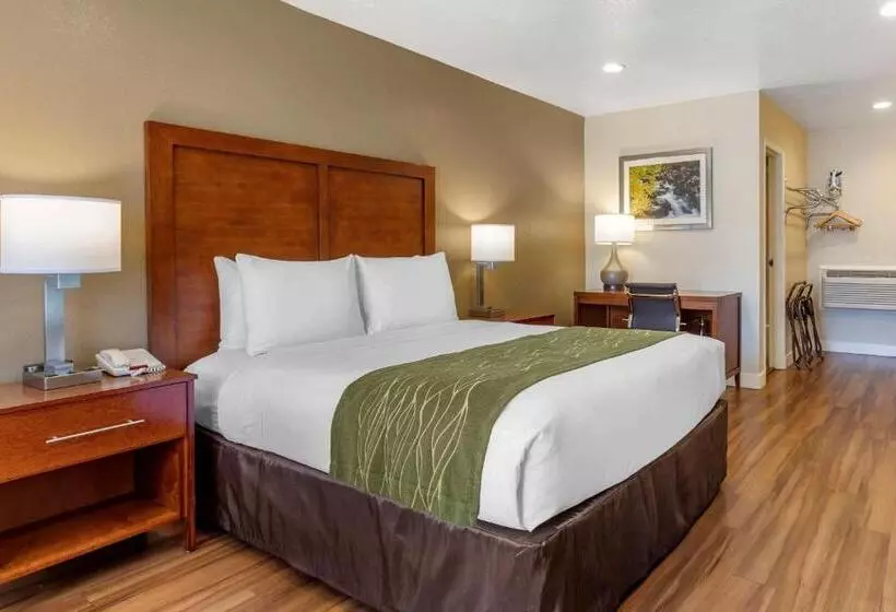 اتاق استاندارد, Comfort Inn Bishop