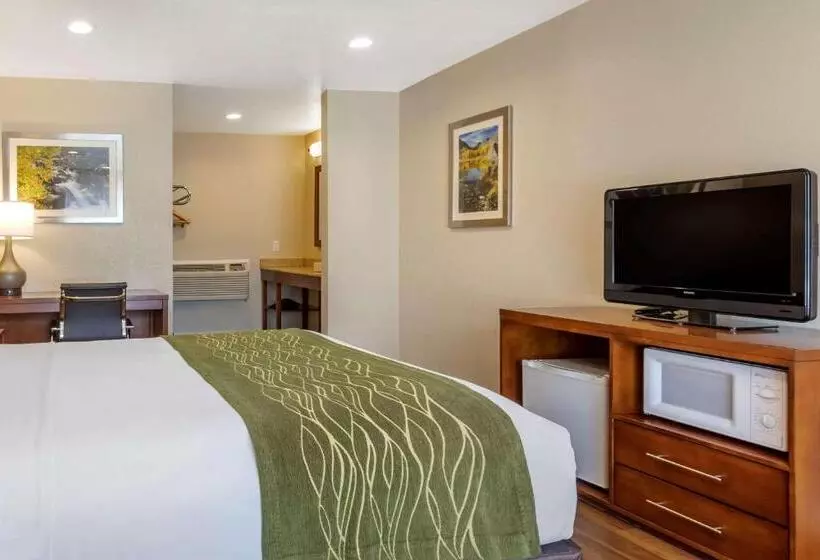 اتاق استاندارد, Comfort Inn Bishop
