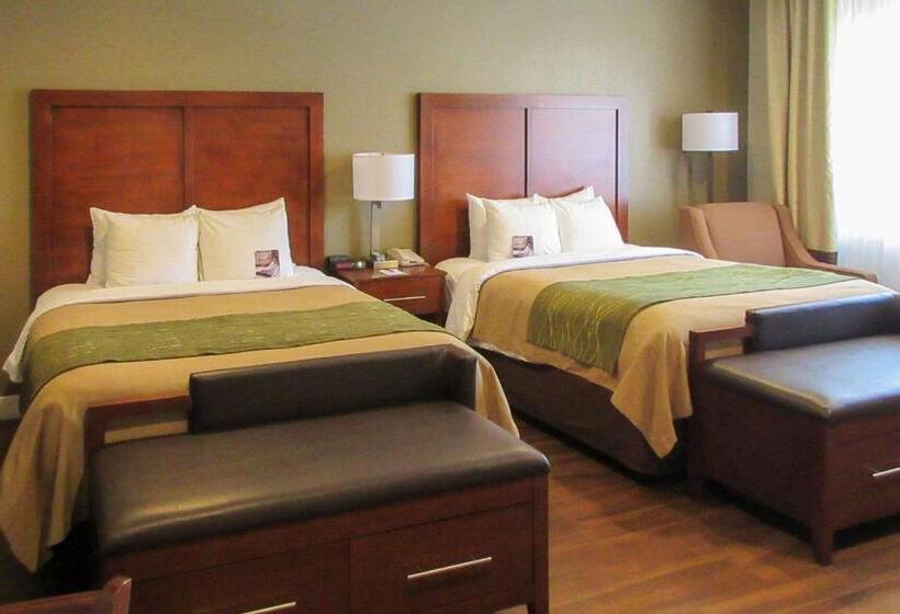 스탠다드 룸, Comfort Inn Bishop