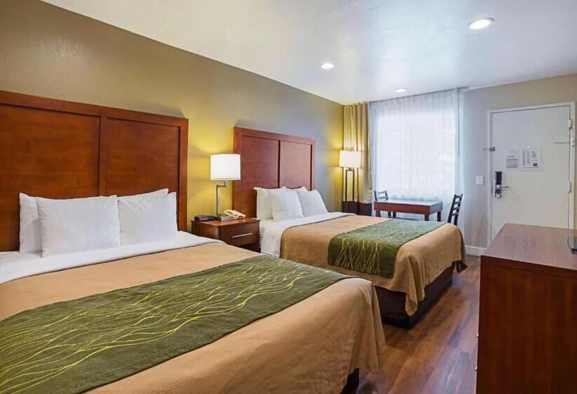 스탠다드 룸, Comfort Inn Bishop