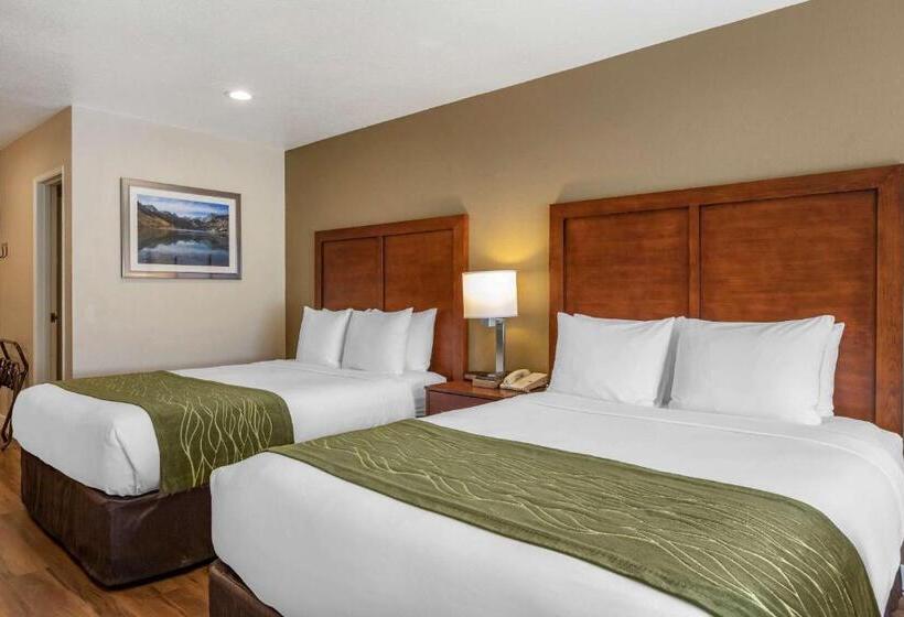 جناح لذوى الاحتياجات الخاصة, Comfort Inn Bishop