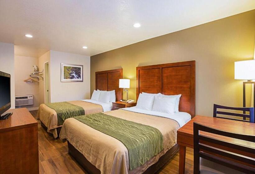 غرفة قياسية, Comfort Inn Bishop