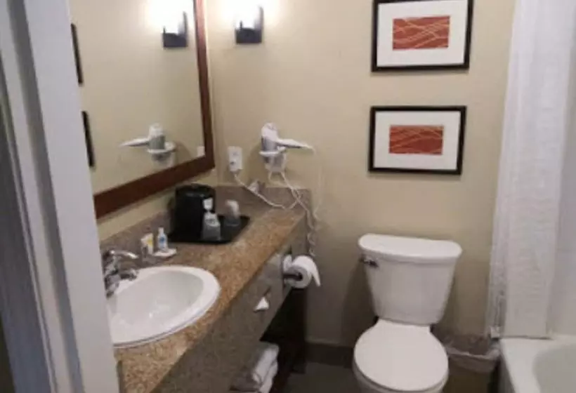 اتاق سوپریور, Comfort Inn & Suites Ventura Beach
