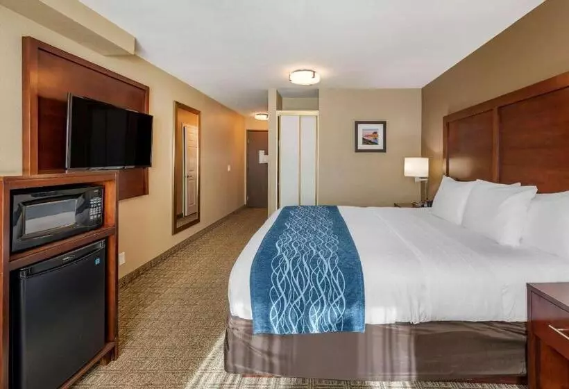 اتاق استاندارد با تخت بزرگ برای معلولان, Comfort Inn & Suites Ventura Beach