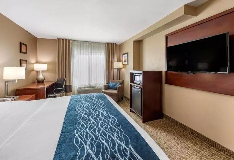 اتاق استاندارد با تخت بزرگ برای معلولان, Comfort Inn & Suites Ventura Beach
