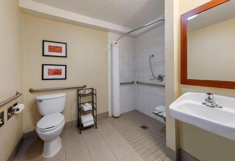 Номер Стандарт Кровать Кинг Адаптированный для Инвалидов, Comfort Inn & Suites Ventura Beach