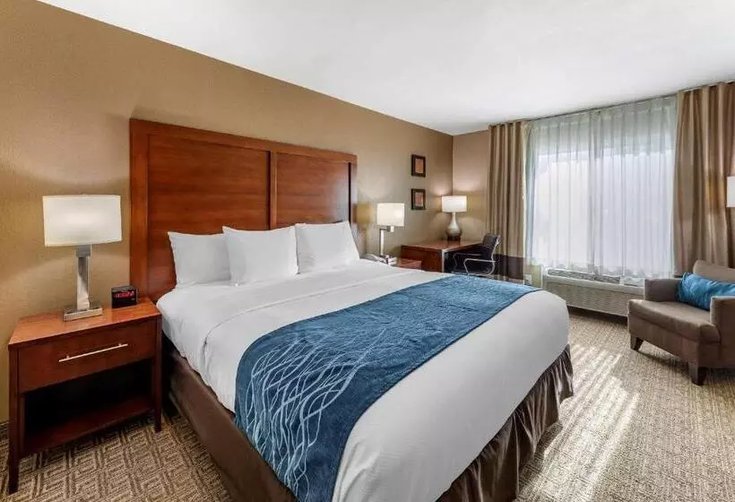 اتاق استاندارد با تخت بزرگ برای معلولان, Comfort Inn & Suites Ventura Beach