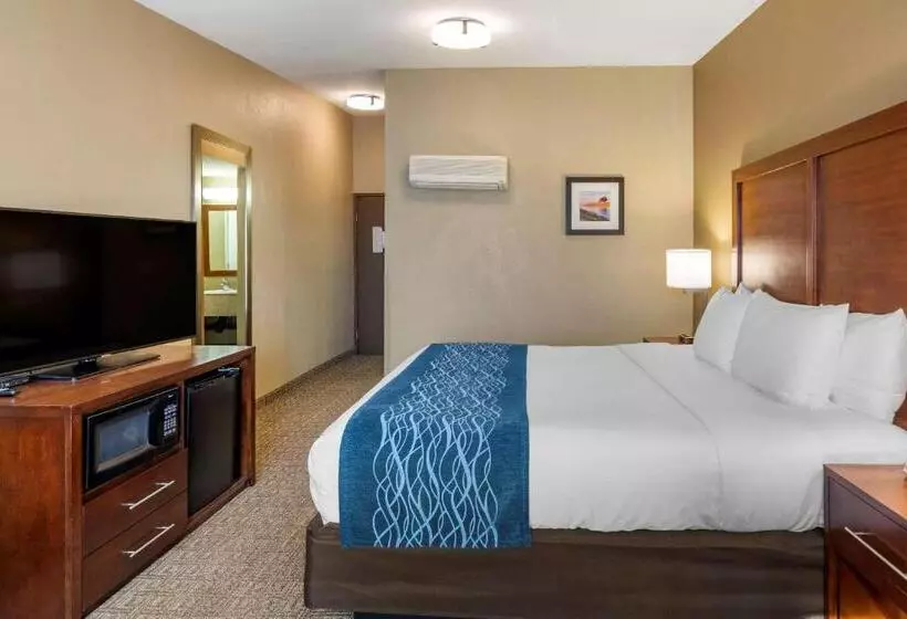 اتاق استاندارد با تخت بزرگ برای معلولان, Comfort Inn & Suites Ventura Beach