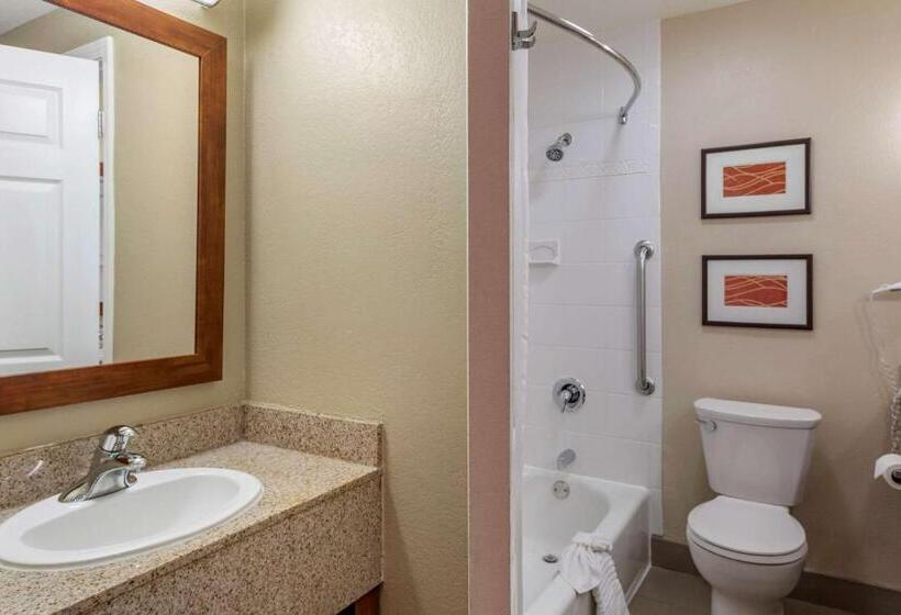 Номер Стандарт Кровать Кинг Адаптированный для Инвалидов, Comfort Inn & Suites Ventura Beach