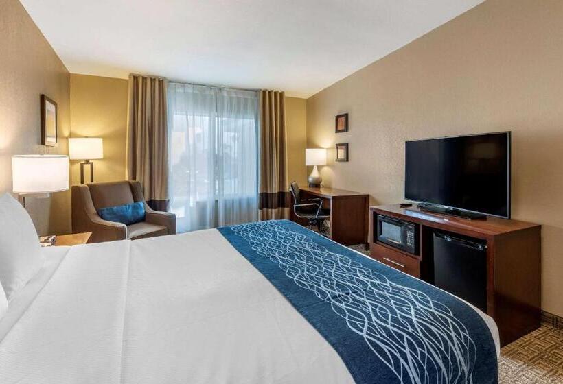 Номер Стандарт Кровать Кинг Адаптированный для Инвалидов, Comfort Inn & Suites Ventura Beach
