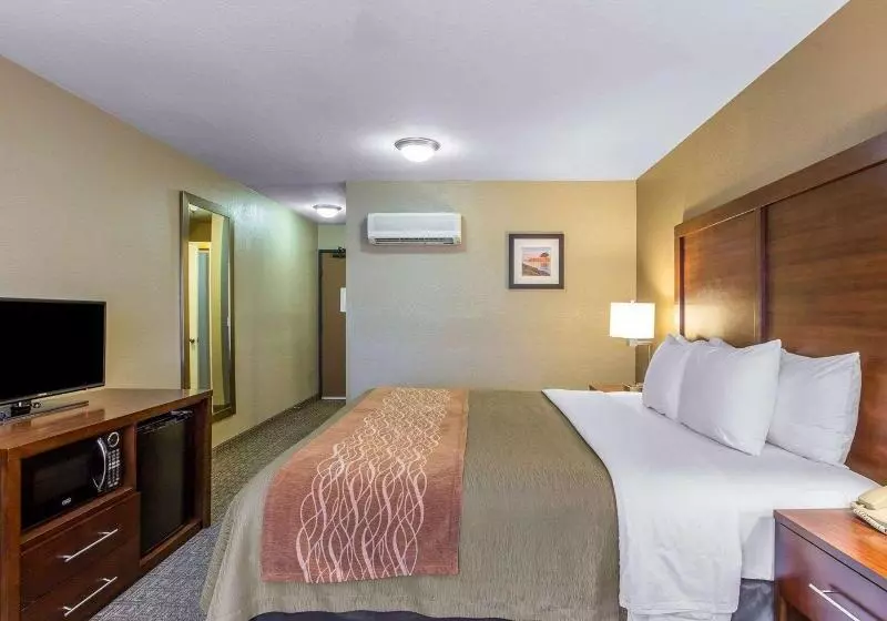 اتاق استاندارد با تخت بزرگ, Comfort Inn & Suites Ventura Beach