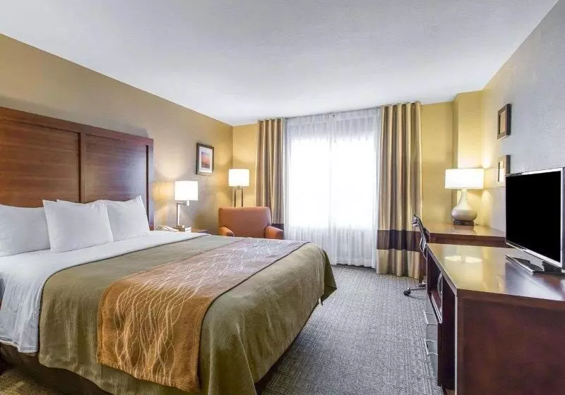 اتاق استاندارد با تخت بزرگ, Comfort Inn & Suites Ventura Beach