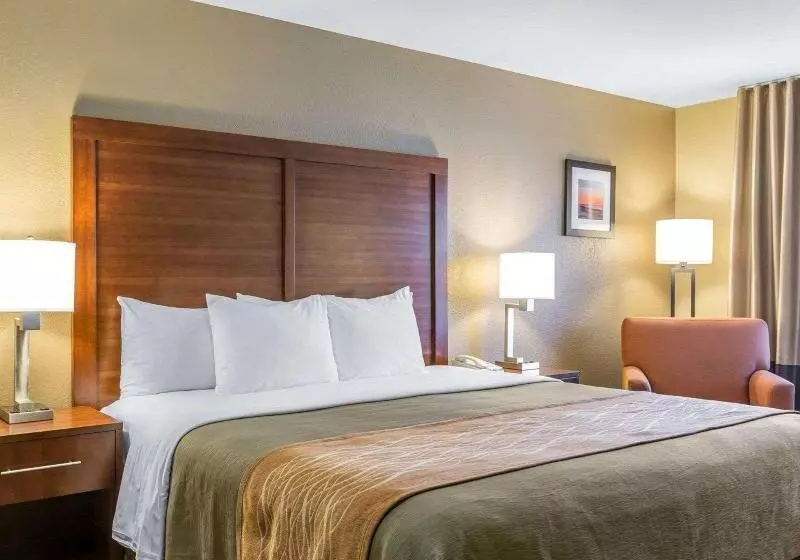 اتاق استاندارد با تخت بزرگ, Comfort Inn & Suites Ventura Beach