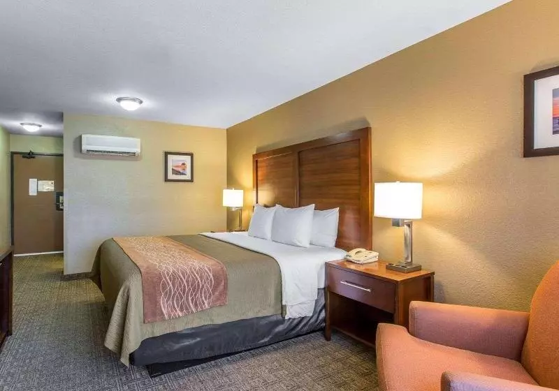 اتاق استاندارد با تخت بزرگ, Comfort Inn & Suites Ventura Beach
