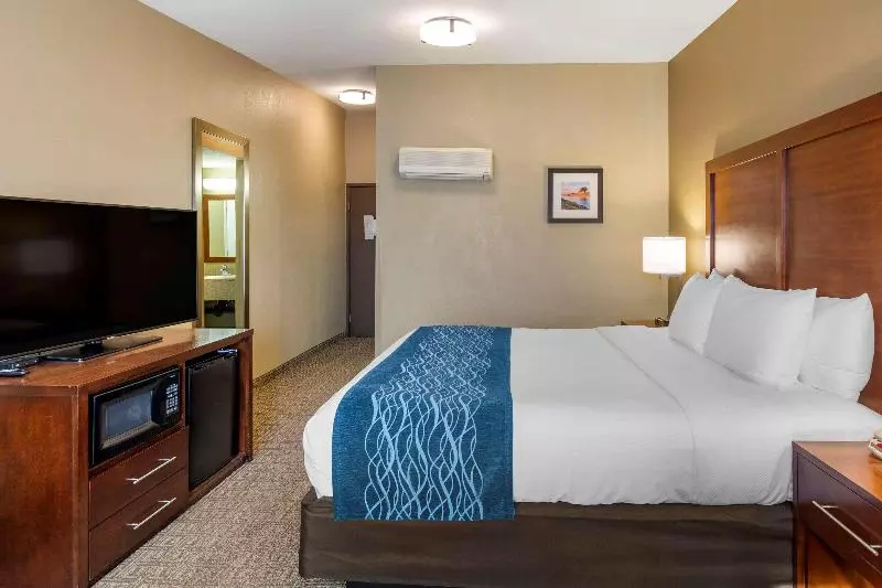 اتاق استاندارد با تخت بزرگ, Comfort Inn & Suites Ventura Beach