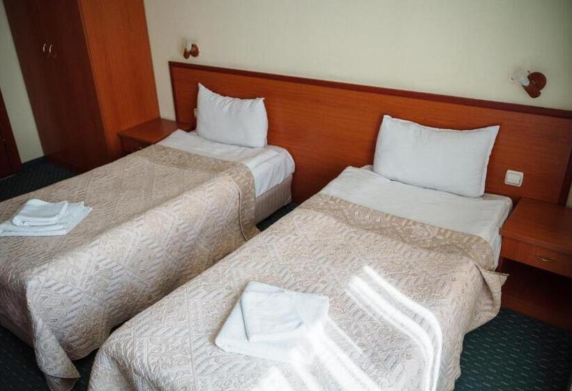 اتاق استاندارد, Dionis