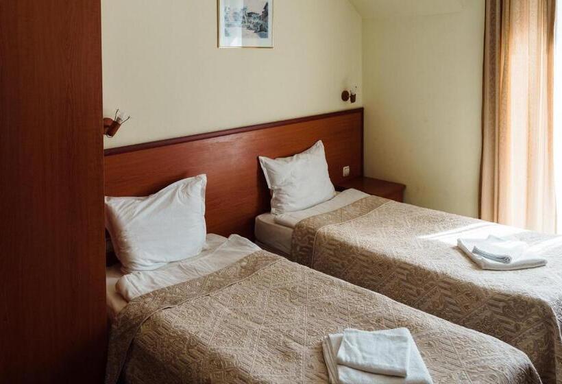 اتاق استاندارد با بالکن, Dionis