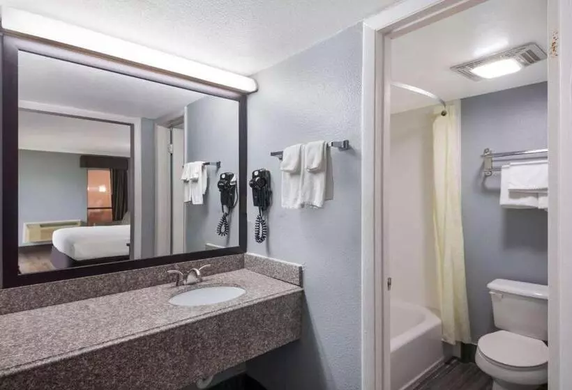 اتاق استاندارد با تخت بزرگ, Econo Lodge Near The Domain   The Arboretum