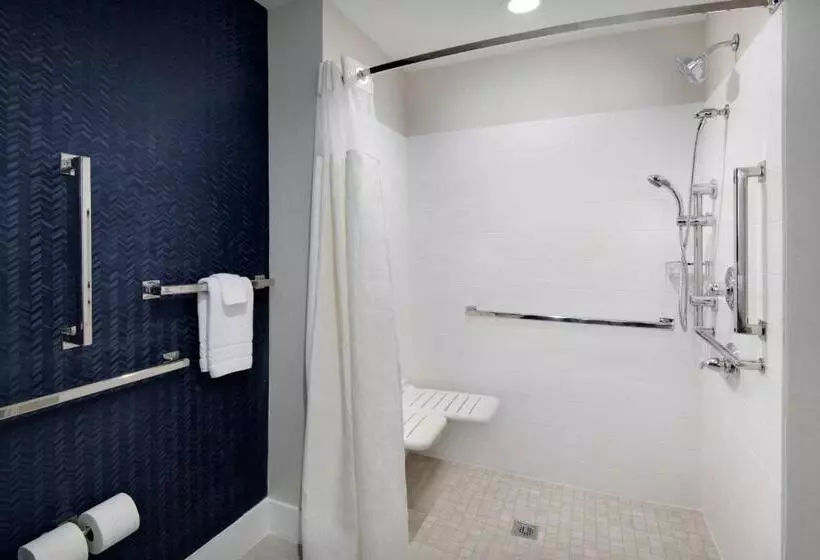 اتاق استاندارد با تخت بزرگ, Fairfield Inn & Suites Columbia Downtown