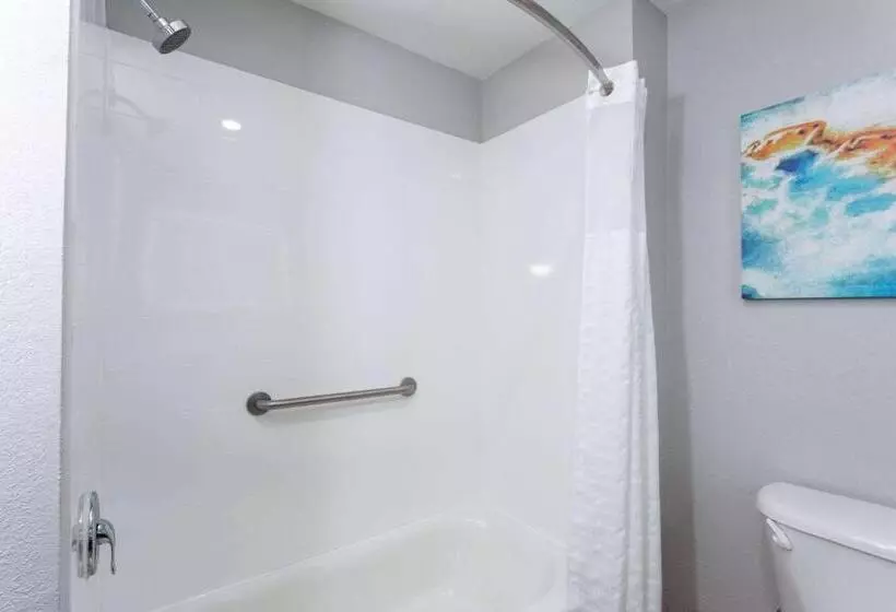 スタンダードルーム, La Quinta By Wyndham Tampa Central