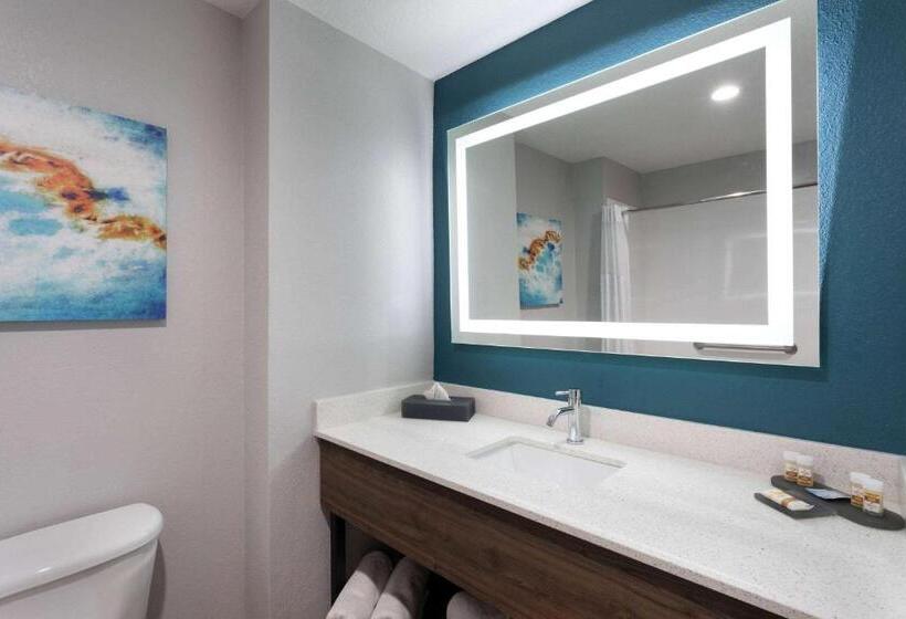 חדר סטנדרט, La Quinta By Wyndham Tampa Central