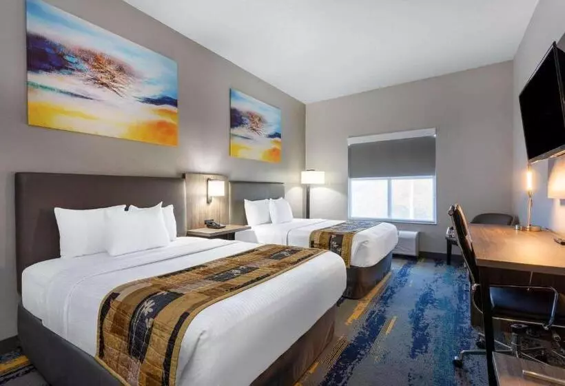 スタンダードルーム, La Quinta By Wyndham Tampa Central