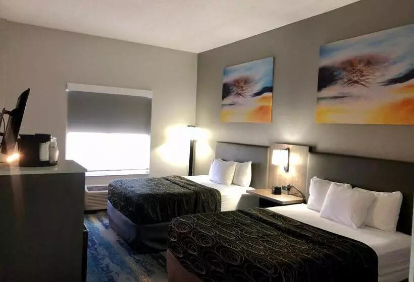 スタンダードルーム, La Quinta By Wyndham Tampa Central