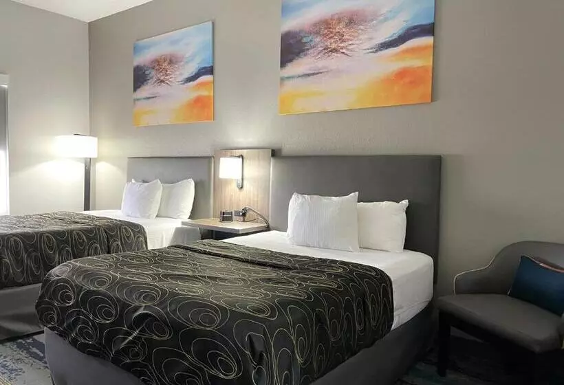 スタンダードルーム, La Quinta By Wyndham Tampa Central