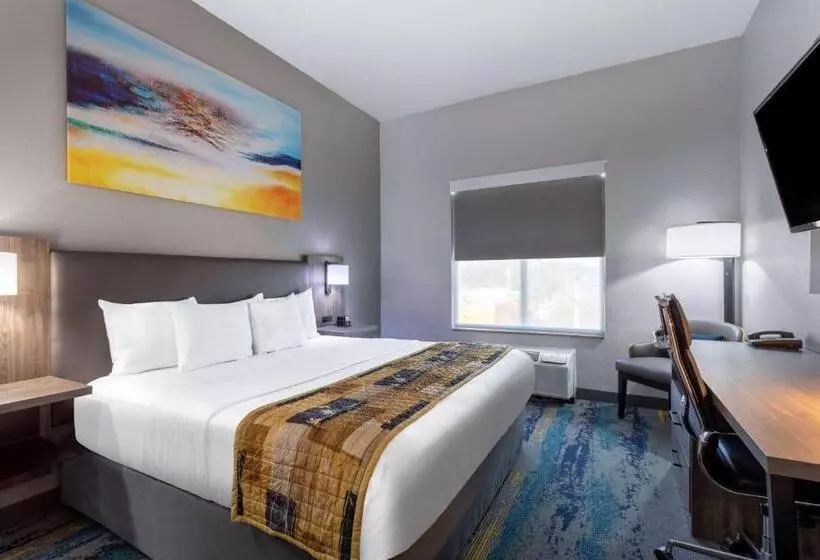 キングサイズベッドのスタンダードルーム, La Quinta By Wyndham Tampa Central