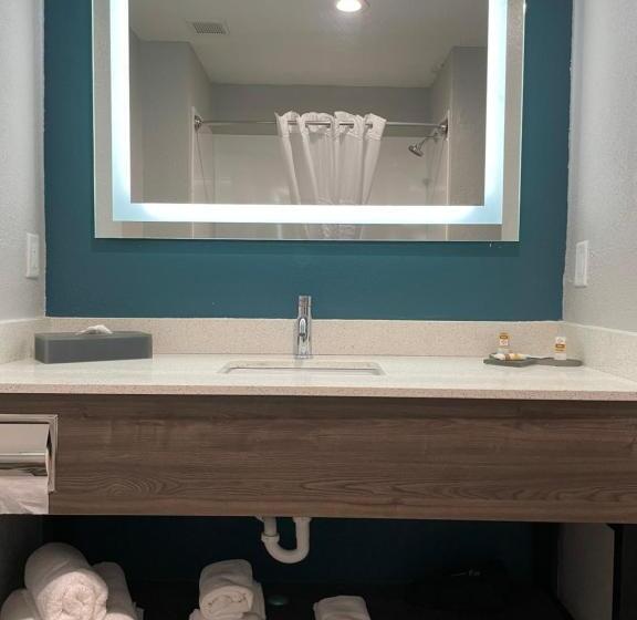 חדר סטנדרט עם מיטת קינג, La Quinta By Wyndham Tampa Central
