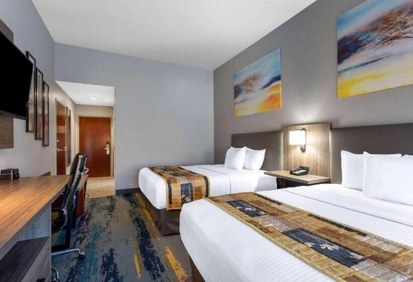 اتاق استاندارد برای معلولان, La Quinta By Wyndham Tampa Central