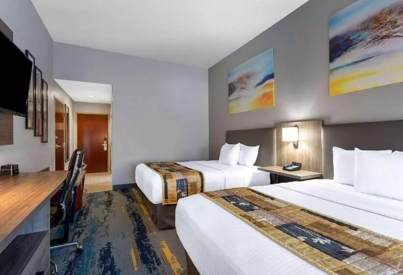 身障者適用スタンダードルーム, La Quinta By Wyndham Tampa Central