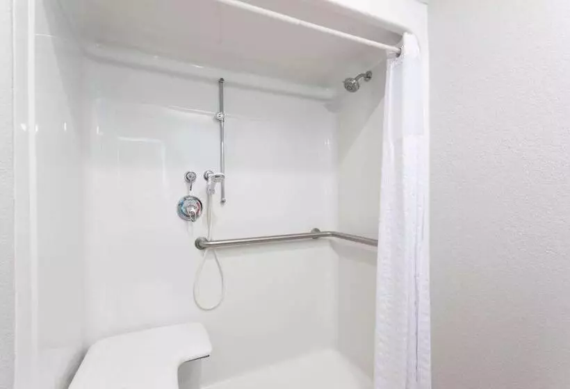 身障者適用スタンダードルーム, La Quinta By Wyndham Tampa Central