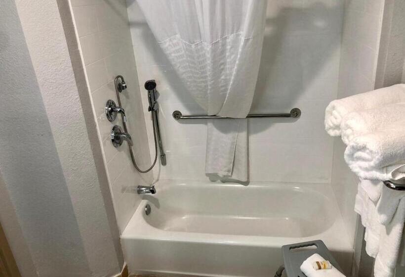 חדר סטנדרט מותאם לאדם עם מוגבלויות, La Quinta By Wyndham Tampa Central
