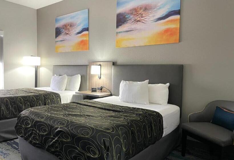 غرفة قياسية لذوى الاحتياجات الخاصة, La Quinta By Wyndham Tampa Central