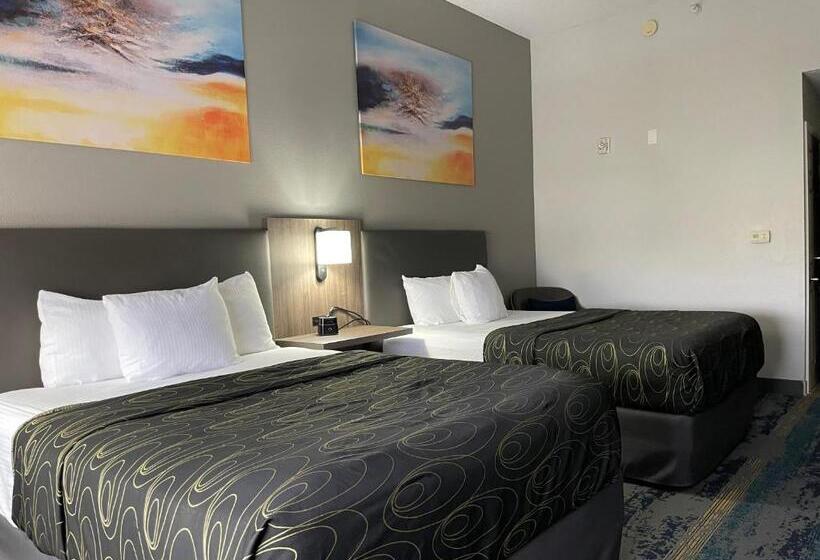 חדר סטנדרט מותאם לאדם עם מוגבלויות, La Quinta By Wyndham Tampa Central