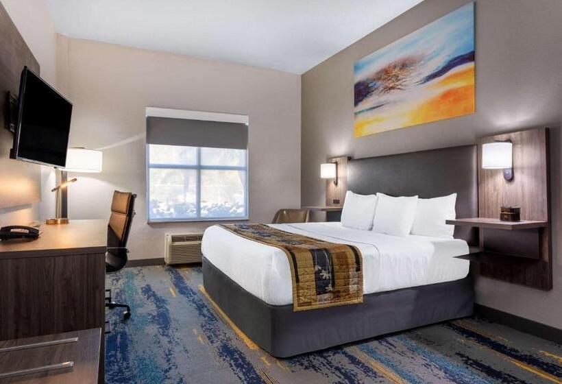 غرفة قياسية سرير كينج لذوى الإحتياجات الخاصة, La Quinta By Wyndham Tampa Central