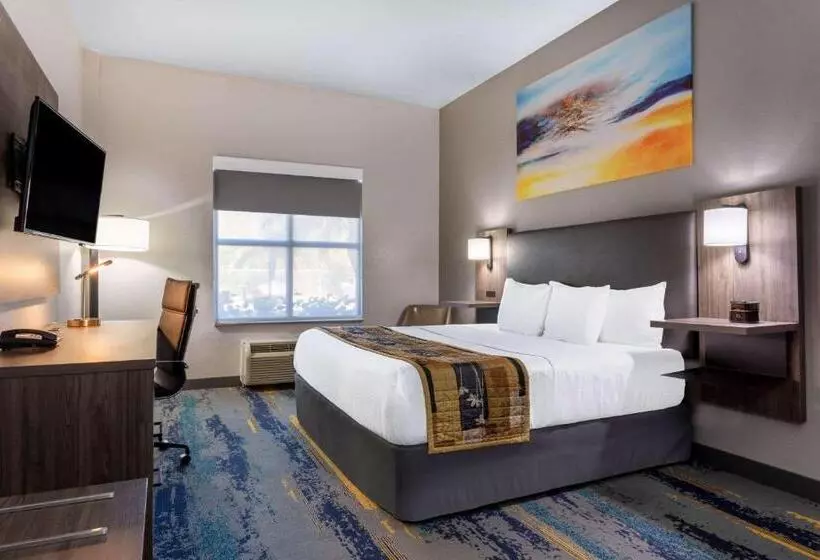身障者適用キングサイズベッドルーム, La Quinta By Wyndham Tampa Central
