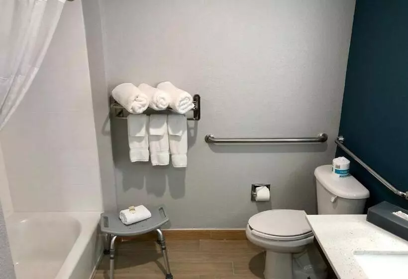 身障者適用キングサイズベッドルーム, La Quinta By Wyndham Tampa Central