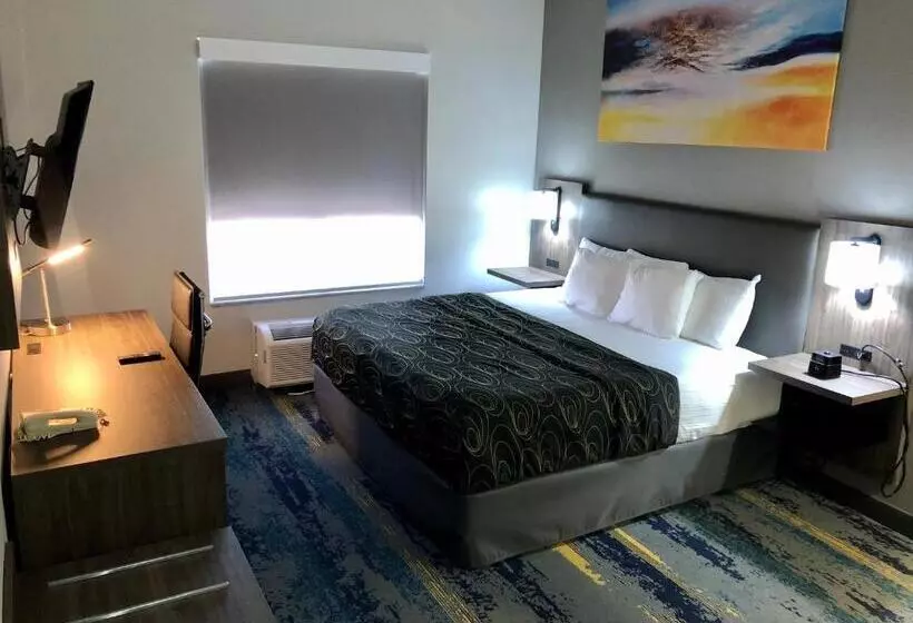 身障者適用キングサイズベッドルーム, La Quinta By Wyndham Tampa Central