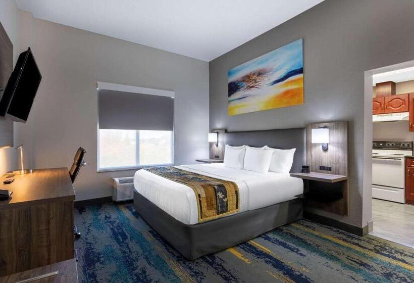 דירת חדר, La Quinta By Wyndham Tampa Central