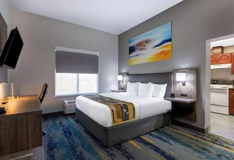 １ベッドルームアパートメント, La Quinta By Wyndham Tampa Central