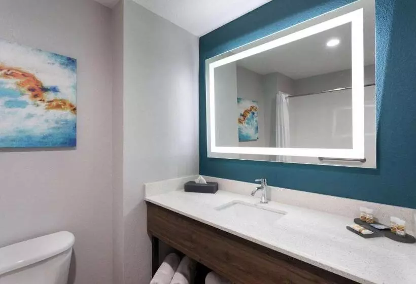 １ベッドルームアパートメント, La Quinta By Wyndham Tampa Central