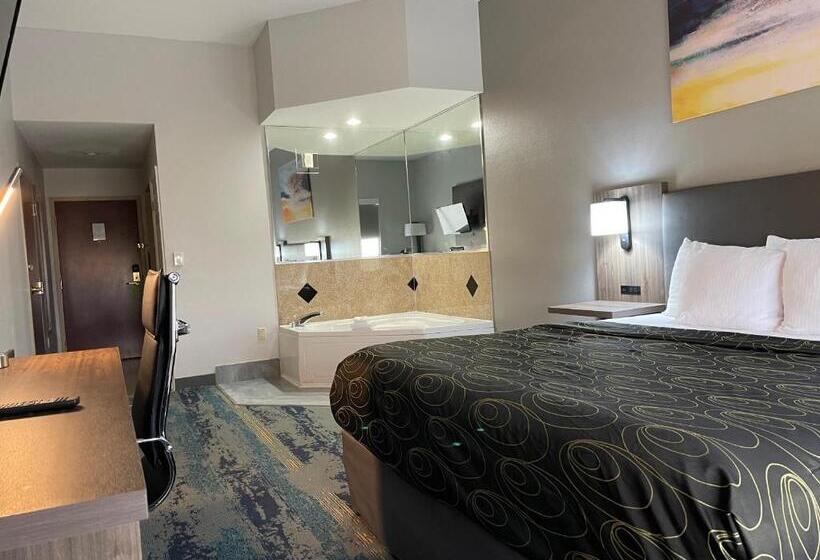 סוויטת סופריור, La Quinta By Wyndham Tampa Central