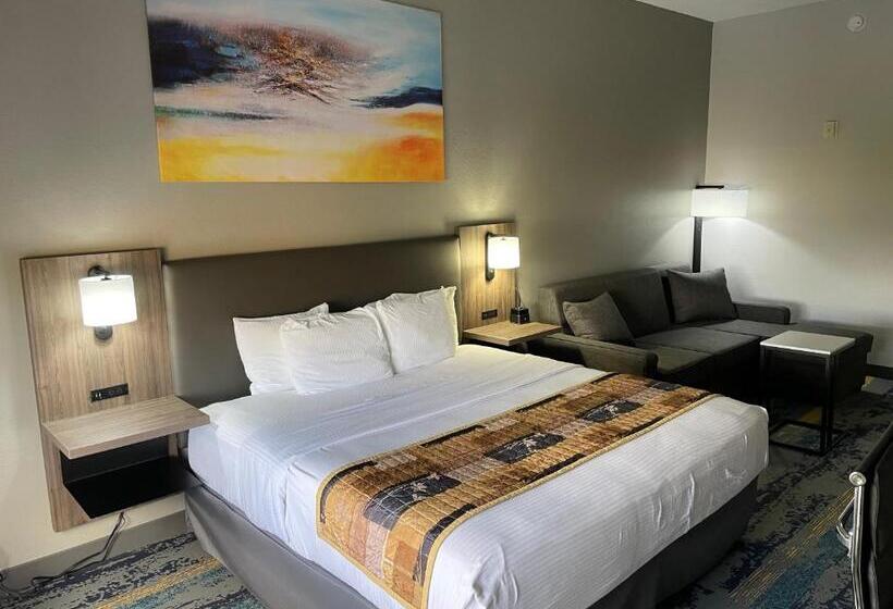 جناح جونيور, La Quinta By Wyndham Tampa Central