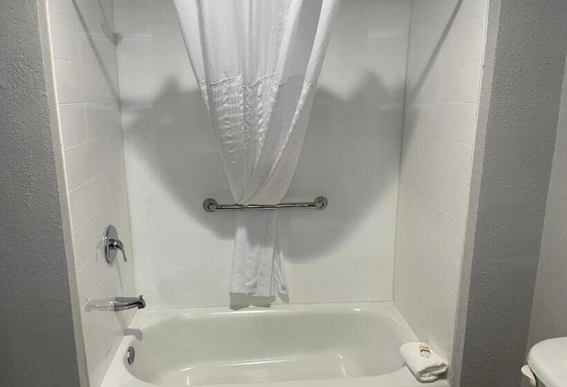 جناح جونيور, La Quinta By Wyndham Tampa Central